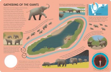 Epic Animal Journeys Over Land: Animal Tracking Compass Book (Epic Journeys) - Steve Parker [KSIĄŻKA]