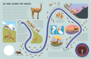 Epic Animal Journeys Over Land: Animal Tracking Compass Book (Epic Journeys) - Steve Parker [KSIĄŻKA]