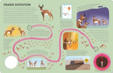 Epic Animal Journeys Over Land: Animal Tracking Compass Book (Epic Journeys) - Steve Parker [KSIĄŻKA]