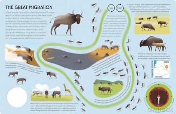 Epic Animal Journeys Over Land: Animal Tracking Compass Book (Epic Journeys) - Steve Parker [KSIĄŻKA]