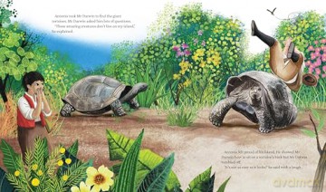 Mr Darwin's Tortoise - Angela McAllister [KSIĄŻKA]