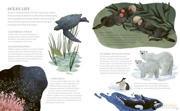 A Year in Nature: A collection of stories for every season (Seasons in the Wild) - Sean Taylor [KSIĄŻKA]