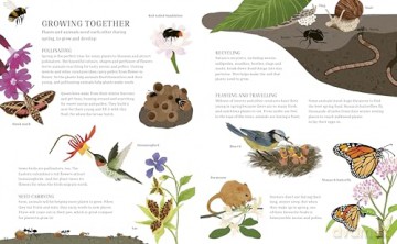 A Year in Nature: A collection of stories for every season (Seasons in the Wild) - Sean Taylor [KSIĄŻKA]