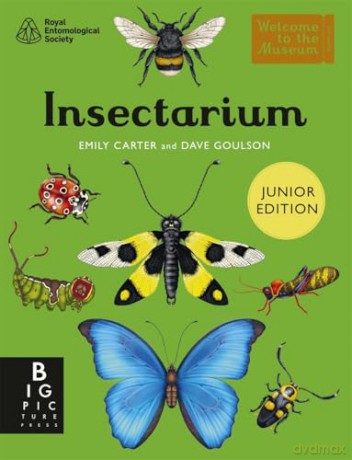 Insectarium (Junior Edition) (Welcome To The Museum) - Dave Goulson [KSIĄŻKA]