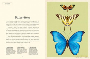 Insectarium (Junior Edition) (Welcome To The Museum) - Dave Goulson [KSIĄŻKA]