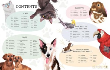 The Perfect Pet!: Discovering Your Next Best Friend - Rachel Foo [KSIĄŻKA]