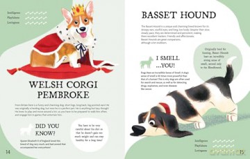 The Perfect Pet!: Discovering Your Next Best Friend - Rachel Foo [KSIĄŻKA]