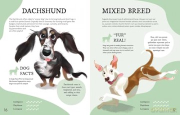 The Perfect Pet!: Discovering Your Next Best Friend - Rachel Foo [KSIĄŻKA]