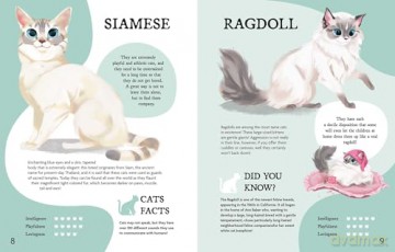 The Perfect Pet!: Discovering Your Next Best Friend - Rachel Foo [KSIĄŻKA]