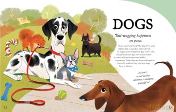 The Perfect Pet!: Discovering Your Next Best Friend - Rachel Foo [KSIĄŻKA]