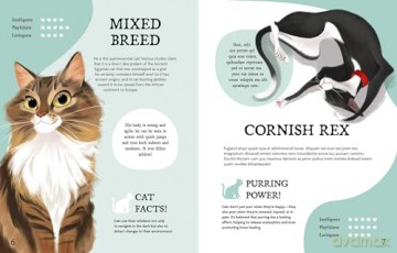 The Perfect Pet!: Discovering Your Next Best Friend - Rachel Foo [KSIĄŻKA]