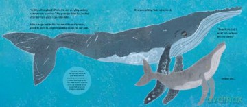 The Brave Little Whale - Charlotte Manning [KSIĄŻKA]