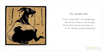 The Square Book of Animals: William Nicholson [KSIĄŻKA]