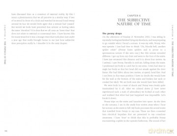 The Labyrinth of Time: The Illusion of Past, Present and Future - Anthony Peake [KSIĄŻKA]