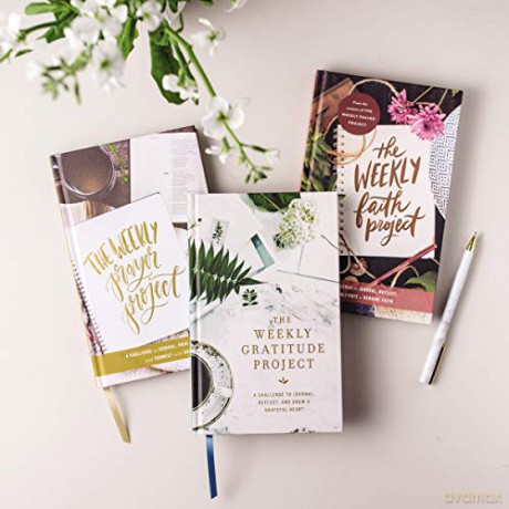 The Weekly Faith Project: A Challenge to Journal, Reflect, and Cultivate a Genuine Faith (The Weekly Project Series) - Zondervan [KSIĄŻKA]