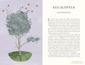 Folklore of Trees: The fascinating stories behind nature's guardians - Aidan Meighan [KSIĄŻKA]