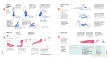 Yoga: 30-Day Exercise Course - Linda Gaines [KSIĄŻKA]