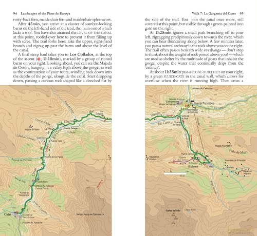 Picos de Europa Sunflower Walking Guide 9e: 26 long and short walks with detailed maps and GPS; car tour with pull-out map (Sunflower Guides) - Teresa Farino [KSIĄŻKA]