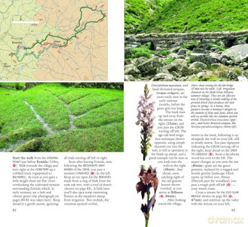 Northern Portugal Sunflower Walking Guide 5e: 30 long and short walks and 3 car tours (Sunflower Guides) - Paul Burton [KSIĄŻKA]