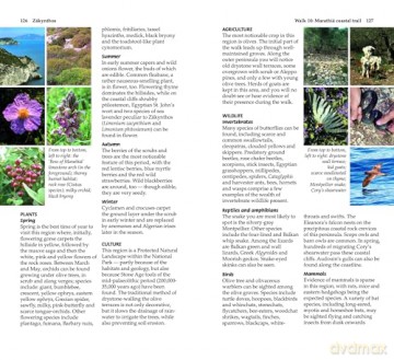 Zakynthos Sunflower Walking Guide 6e: 65 long and short walks and 5 car tours (Sunflower Guides) - Gail Schofield [KSIĄŻKA]