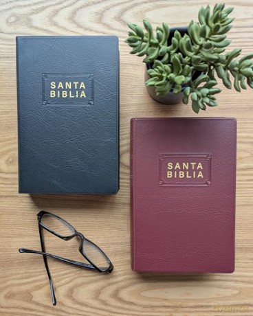 Santa Biblia NTV, Edición Premio Y Regalo, Vinipiel, Negro [KSIĄŻKA]