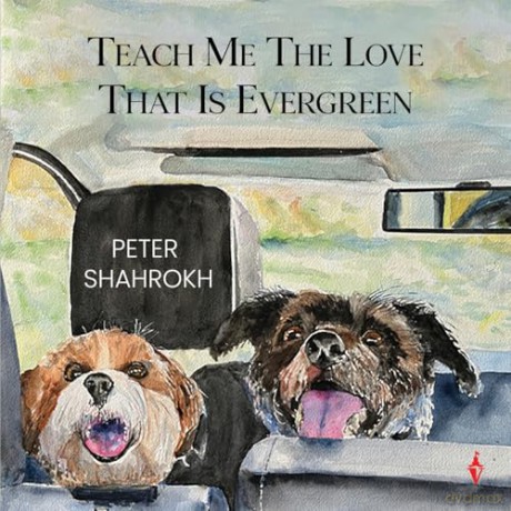 Teach Me the Love that Is Evergreen - Peter Shahrokh [KSIĄŻKA]