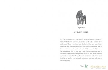 Black Beauty: A brand new retelling of the beloved classic, - Michael Morpurgo [KSIĄŻKA]