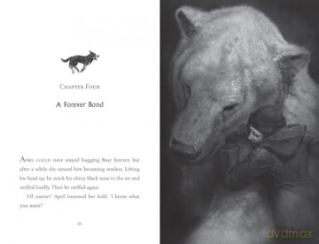 The Lone Husky: A breathtaking Arctic adventure from the Sunday Times best-selling author of THE LAST BEAR - Hannah Gold [KSIĄŻKA]