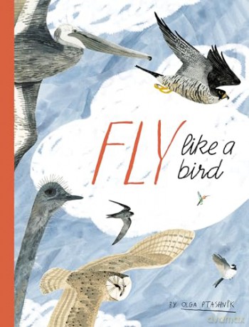 Fly Like a Bird (Spectacular Steam for Curious Readers (Sscr)) - Olga Ptashnik [KSIĄŻKA]