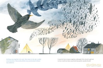 Fly Like a Bird (Spectacular Steam for Curious Readers (Sscr)) - Olga Ptashnik [KSIĄŻKA]