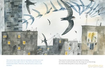 Fly Like a Bird (Spectacular Steam for Curious Readers (Sscr)) - Olga Ptashnik [KSIĄŻKA]