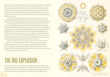 Epic Earth: A Wild Ride through the History of Life on Our Planet - Lindsay Nikole [KSIĄŻKA]