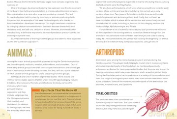 Epic Earth: A Wild Ride through the History of Life on Our Planet - Lindsay Nikole [KSIĄŻKA]
