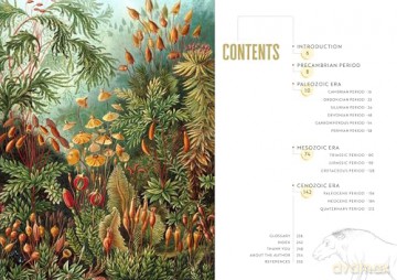 Epic Earth: A Wild Ride through the History of Life on Our Planet - Lindsay Nikole [KSIĄŻKA]