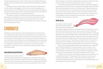 Epic Earth: A Wild Ride through the History of Life on Our Planet - Lindsay Nikole [KSIĄŻKA]