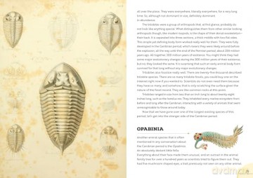 Epic Earth: A Wild Ride through the History of Life on Our Planet - Lindsay Nikole [KSIĄŻKA]