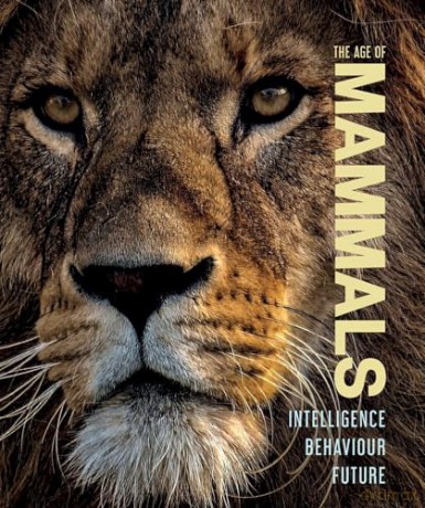 The Age of Mammals: Intelligence Behaviour Future (Incredible World) - Jamie Collins [KSIĄŻKA]