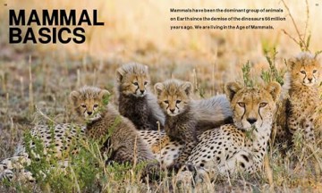 The Age of Mammals: Intelligence Behaviour Future (Incredible World) - Jamie Collins [KSIĄŻKA]