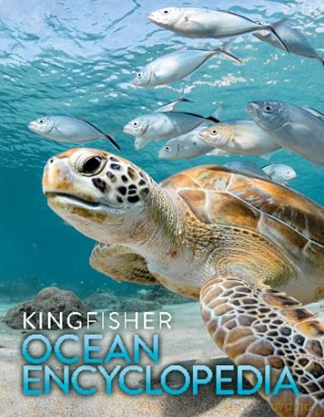 The Kingfisher Ocean Encyclopedia: The ultimate oceans and sea creatures fact book for kids - Kingfisher [KSIĄŻKA]