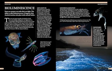 The Kingfisher Ocean Encyclopedia: The ultimate oceans and sea creatures fact book for kids - Kingfisher [KSIĄŻKA]