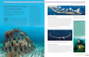 The Kingfisher Ocean Encyclopedia: The ultimate oceans and sea creatures fact book for kids - Kingfisher [KSIĄŻKA]