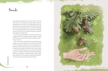 Grimoire of Wellness: Natural Wisdom for Body, Mind and Spirit (VIVIDA) - Anastasia Mostacci [KSIĄŻKA]