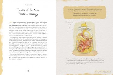 Grimoire of Wellness: Natural Wisdom for Body, Mind and Spirit (VIVIDA) - Anastasia Mostacci [KSIĄŻKA]