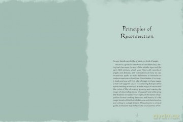 Grimoire of Wellness: Natural Wisdom for Body, Mind and Spirit (VIVIDA) - Anastasia Mostacci [KSIĄŻKA]