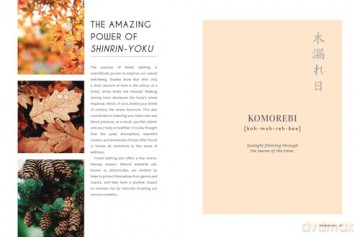 Japanese Living: Bring Mindfulness, Joy and Simplicity into Your Life - Jo Peters [KSIĄŻKA]