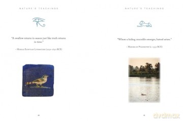 Ancient Egyptian Wisdom: Pharaonic Teachings for Modern Living (Chinese Bound Mini) - Trevor Naylor [KSIĄŻKA]