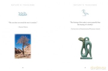 Ancient Egyptian Wisdom: Pharaonic Teachings for Modern Living (Chinese Bound Mini) - Trevor Naylor [KSIĄŻKA]