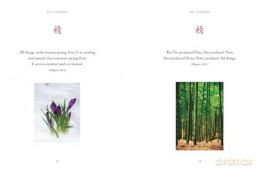 Tao Wisdom: Great Quotes from the Ancient Chinese Way of Virtue (Chinese Bound Mini) - Lao Tzu [KSIĄŻKA]