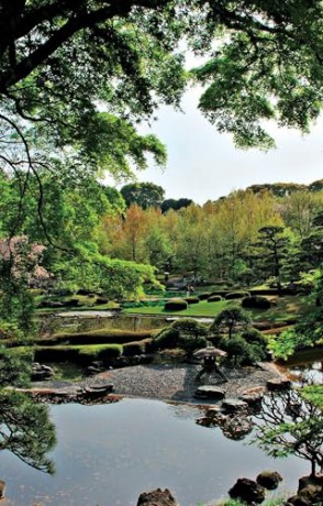 Tokyo, 29 Historic Walks in the World's Most Exciting City - John H. Martin [KSIĄŻKA]