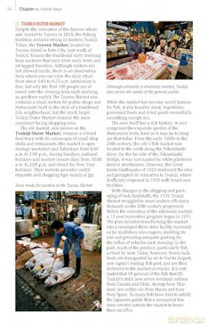 Tokyo, 29 Historic Walks in the World's Most Exciting City - John H. Martin [KSIĄŻKA]